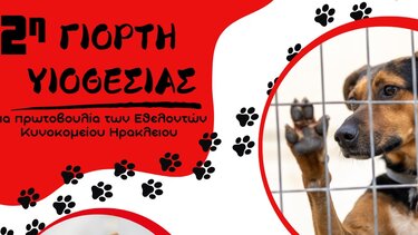 Γιορτή υιοθεσίας