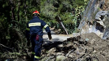 Πυροσβέστης, επιχείρηση διάσωσης