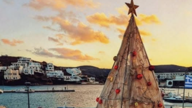 δεντρο απο διχτυα