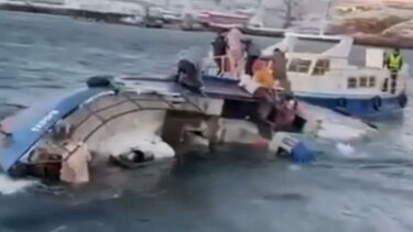 Τουρίστες,φάλαινες