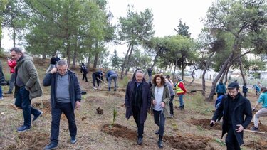 Θεσσαλονίκη φυτεύσεις 