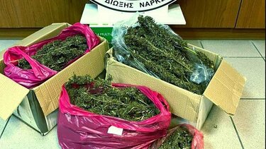 Χασίς, Αστυνομία