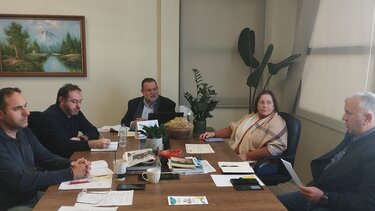 Αδέσποτα, Δήμος Μινώα Πεδιάδας