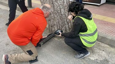 έλεγχοι, δέντρα