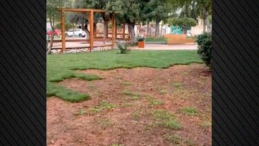 Παιδική χαρά, Γκαζόν