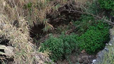 Ρέμα, Κατσίγαρος