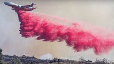 Ροζ σκόνη - ΗΠΑ 