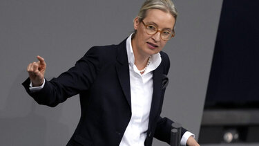 Αλίς Βάιντελ