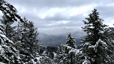 Ασκύφου Χιόνια