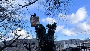 Πλάτανος Κράσι