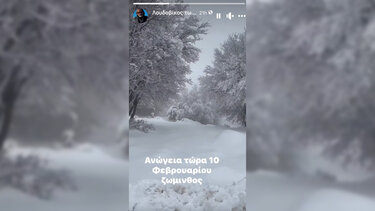 Χιόνι, Ζώμινθος, Λουδοβίκος των Ανωγείων 