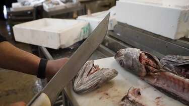 Μπακαλιάρος