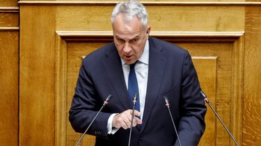 Μακης Βορίδης