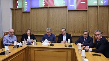 ergaperifereia kritis3