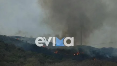 Κάρυστος, φωτιά