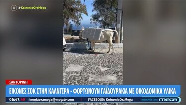 Φορτωμένο Γαϊδουράκια