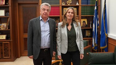 Αρναουτάκης-Στεφανάκη