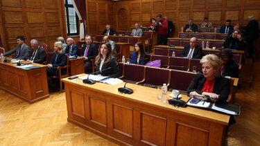 proanakritiki epitropi