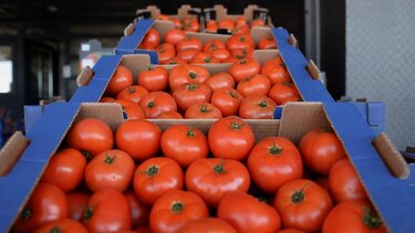 Τομάτες, Αγορά