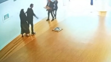 Βουλευτής -Πινακοθήκη