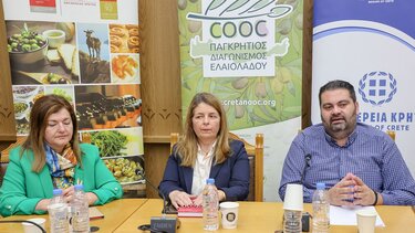 Τζεδάκης, Χουδετσανάκη