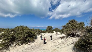 Χρυσή αυτοψία