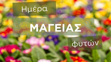 ΕΛΜΕΠΑ Ημέρα φυτών