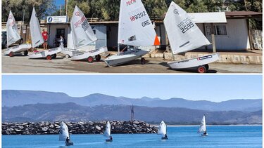 Διασυλογικό