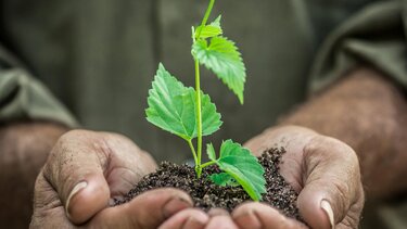 γεωτεχνικος γεωπονος