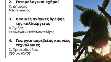 αφισα εσπερίδας