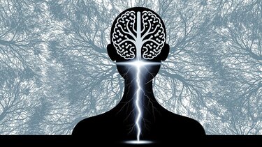 νευροεπιστήμη 