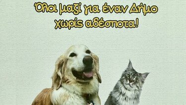 Δήμος Φαιστού, Αδέσποτα