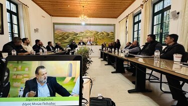 Δημοτικό συμβούλιο, Μινωα