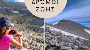 Δρόμοι Ζωής, Εκδρομή 