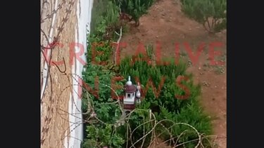 Φυλακές Αλικαρνασσού, Ναρκωτικά