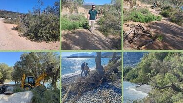 Άγιος Νικόλαος, Κλαδέματα