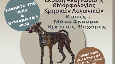 Έκθεση λαγωνικά Χερσόνησος