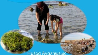 Μαλλιαρή Πέτρα