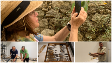 moyseio fysikis istorias