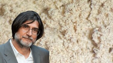 Νίκος Μιχαλόπουλος