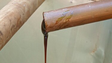  Εθνικό Ευρετήριο Άυλης Πολιτιστικής Κληρονομιάς