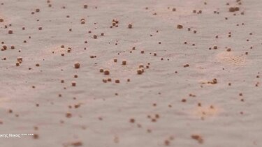 Αφρικανική σκόνη, σωματίδια