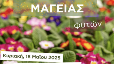 Ημέρα Μαγείας Φυτών