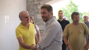 Νίκος Ανδρουλάκης