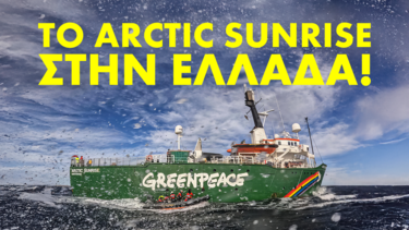 Arctic Sunrise