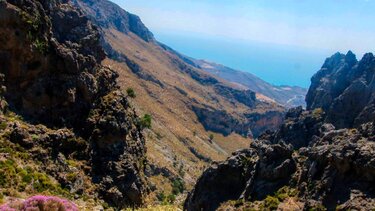 Δρόμοι Ζωής