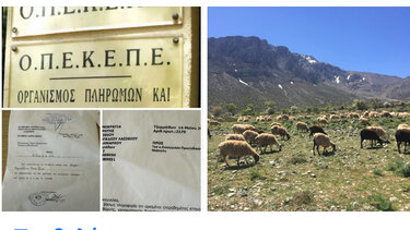 οπεκεπε οροπέδιο