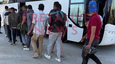 Μετανάστες, Ψαρή Φοράδα