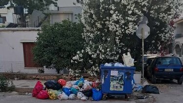 Σκουπίδια, Αντωνίου Καστρινάκη