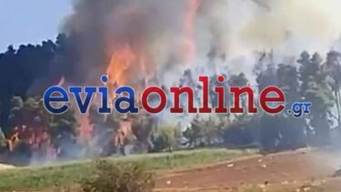 Εκτός ελέγχου η φωτιά στην Εύβοια - Εκκενώνονται οικισμοί, καίγονται γραμμές της ΔΕΗ